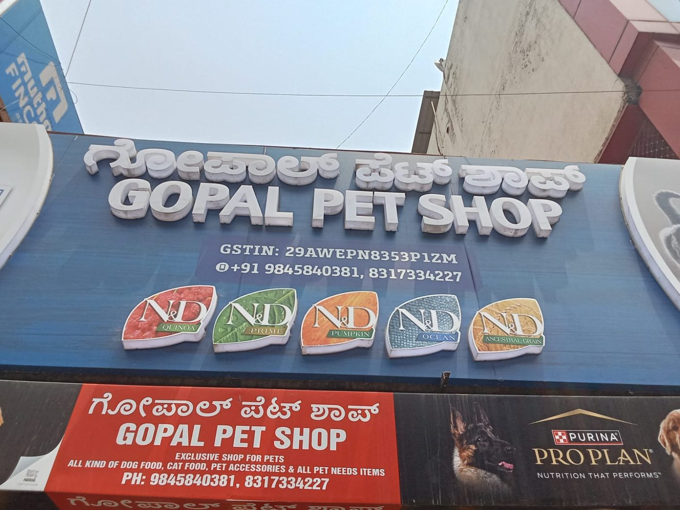 Raised dimensional letter signage